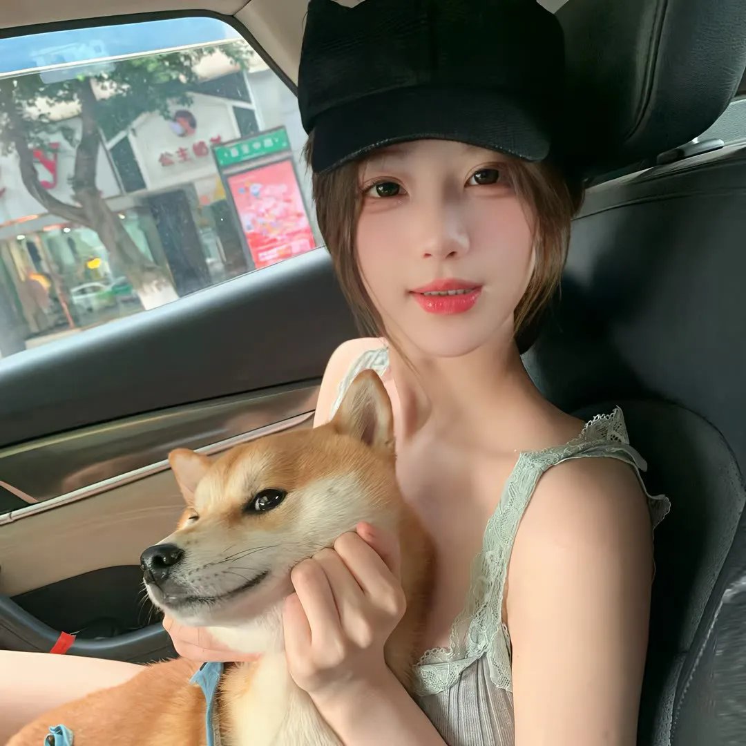 白鹭 海报